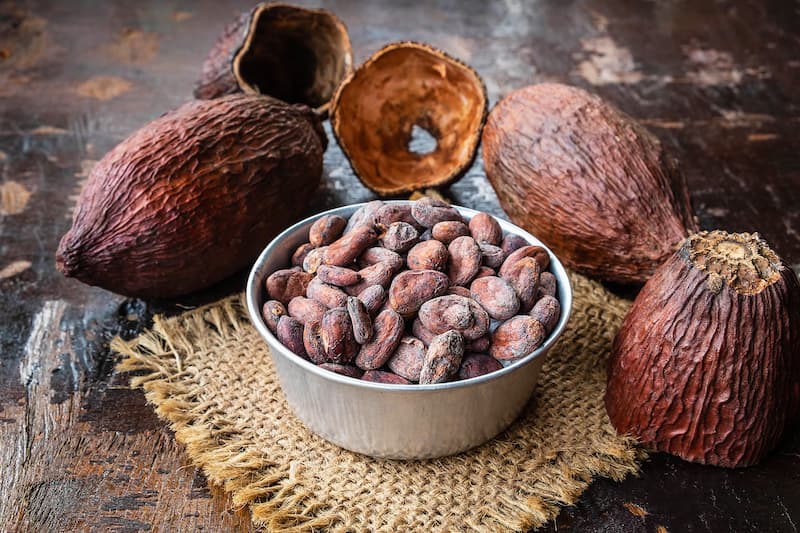 Bowl of raw cacao beans