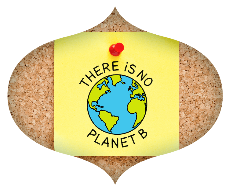 Corkboard with sticky note pinned to it with an illustration of the Earth that says, "There is no Planet B."