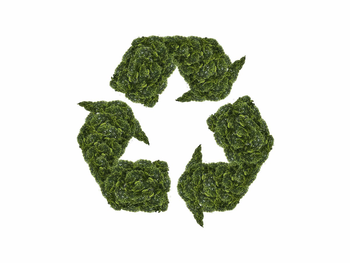 The recycle symbol made out of trees
