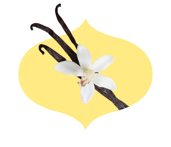 Three vanilla beans and flower in a bindi-shaped frame