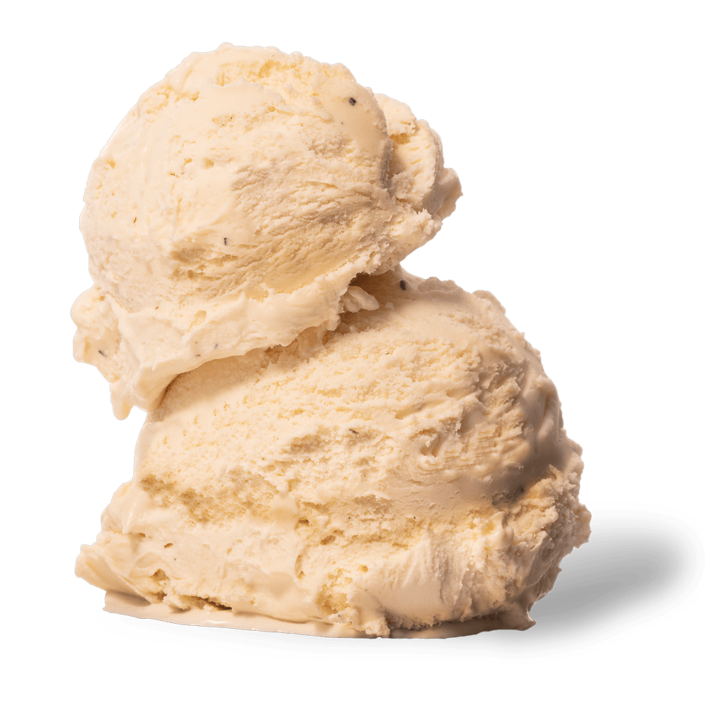 Two scoops of Vanilla Bean ice cream
