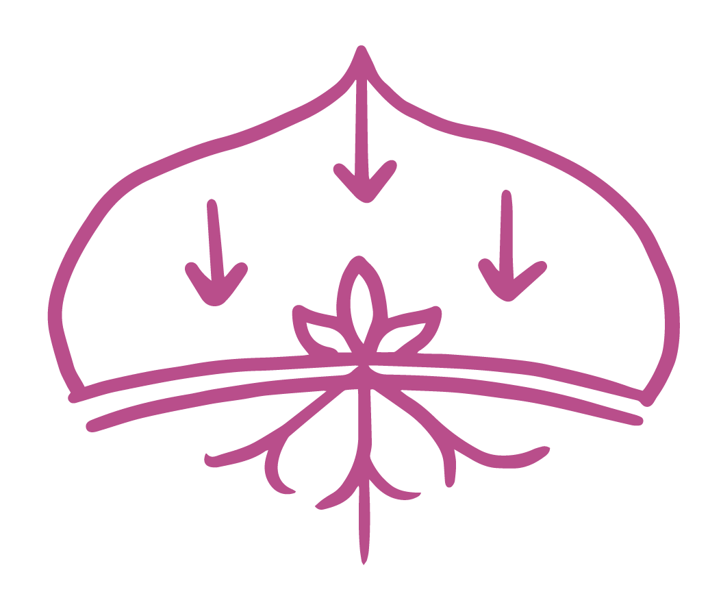 Pink line art icon representing regenerative agriculture