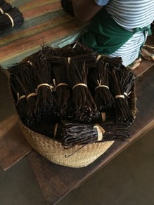 Basket of bundled up vanilla beans