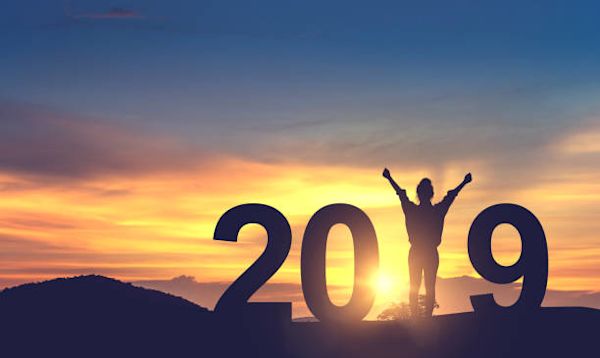 Jaarverslag 2019