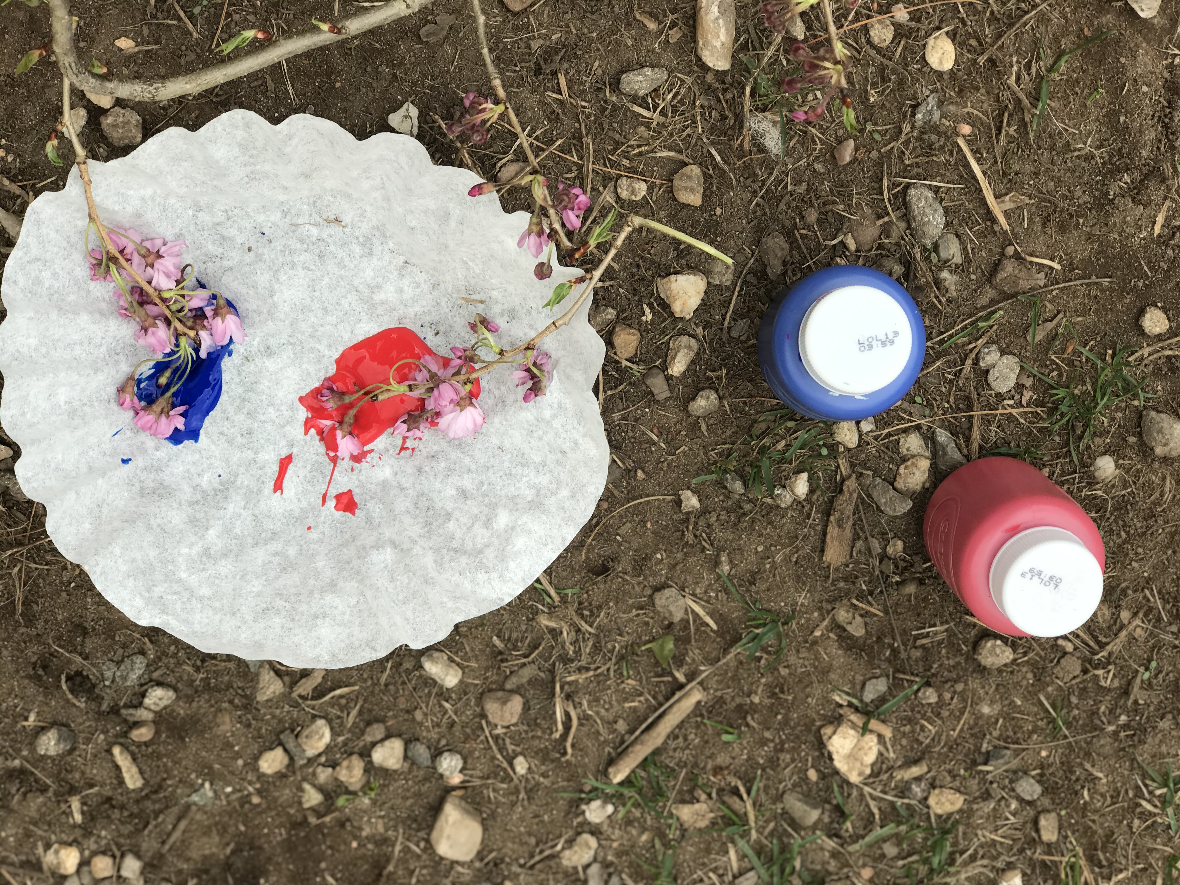 Flower Stamping and Painting