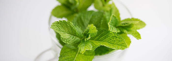 Saveurs de dentifrices – Pour tous les goûts