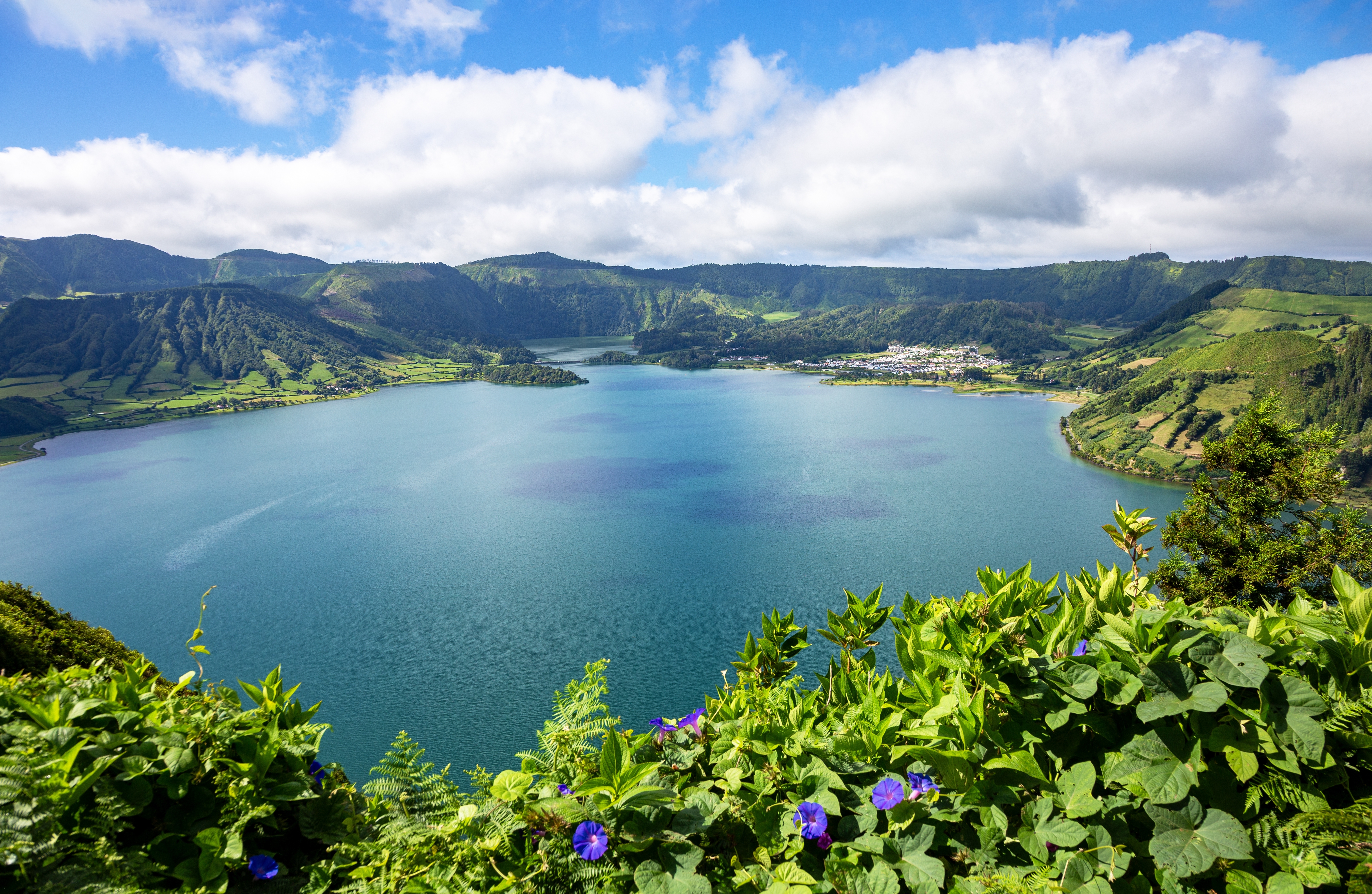 shutterstock 2640775063