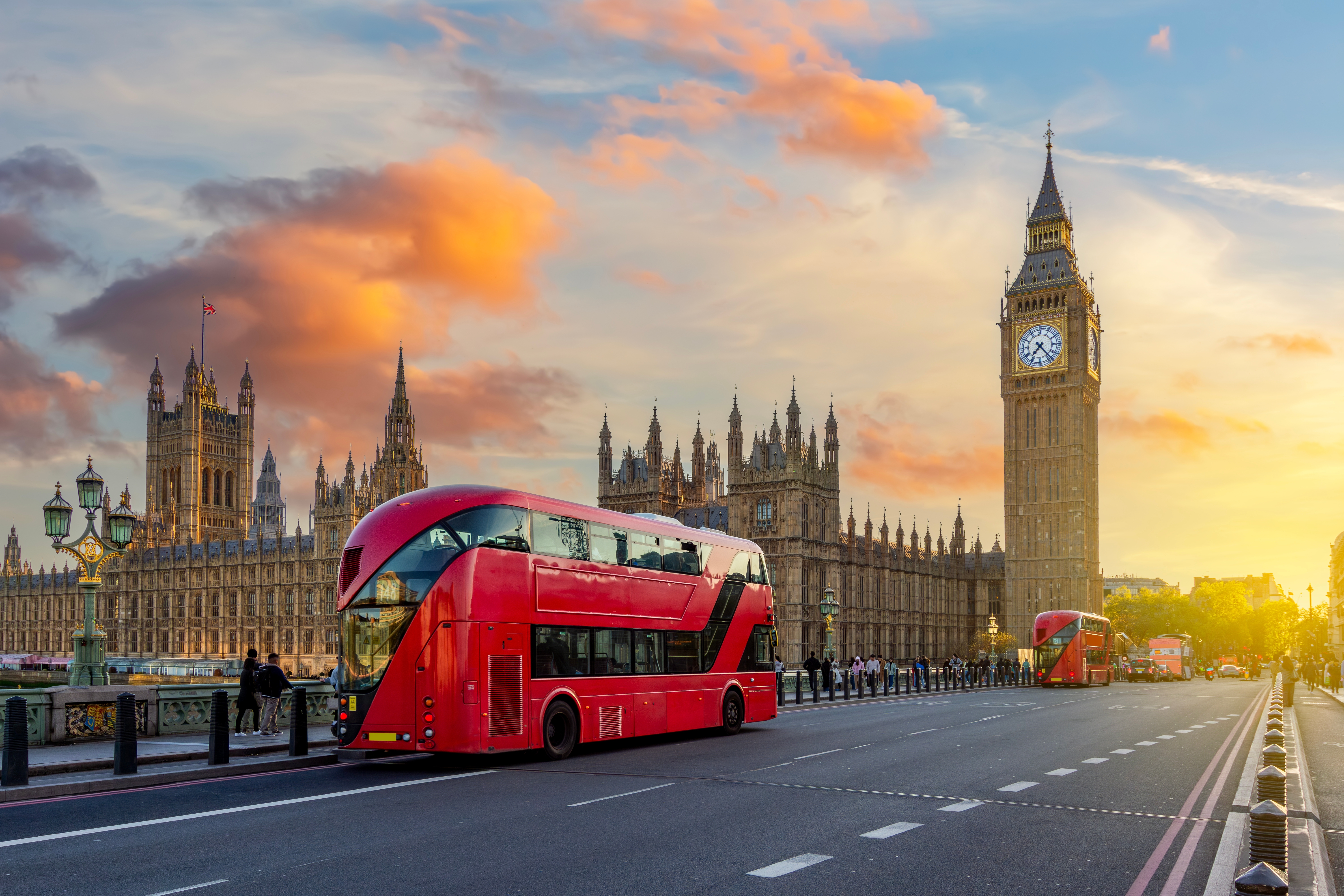 shutterstock 2533565017