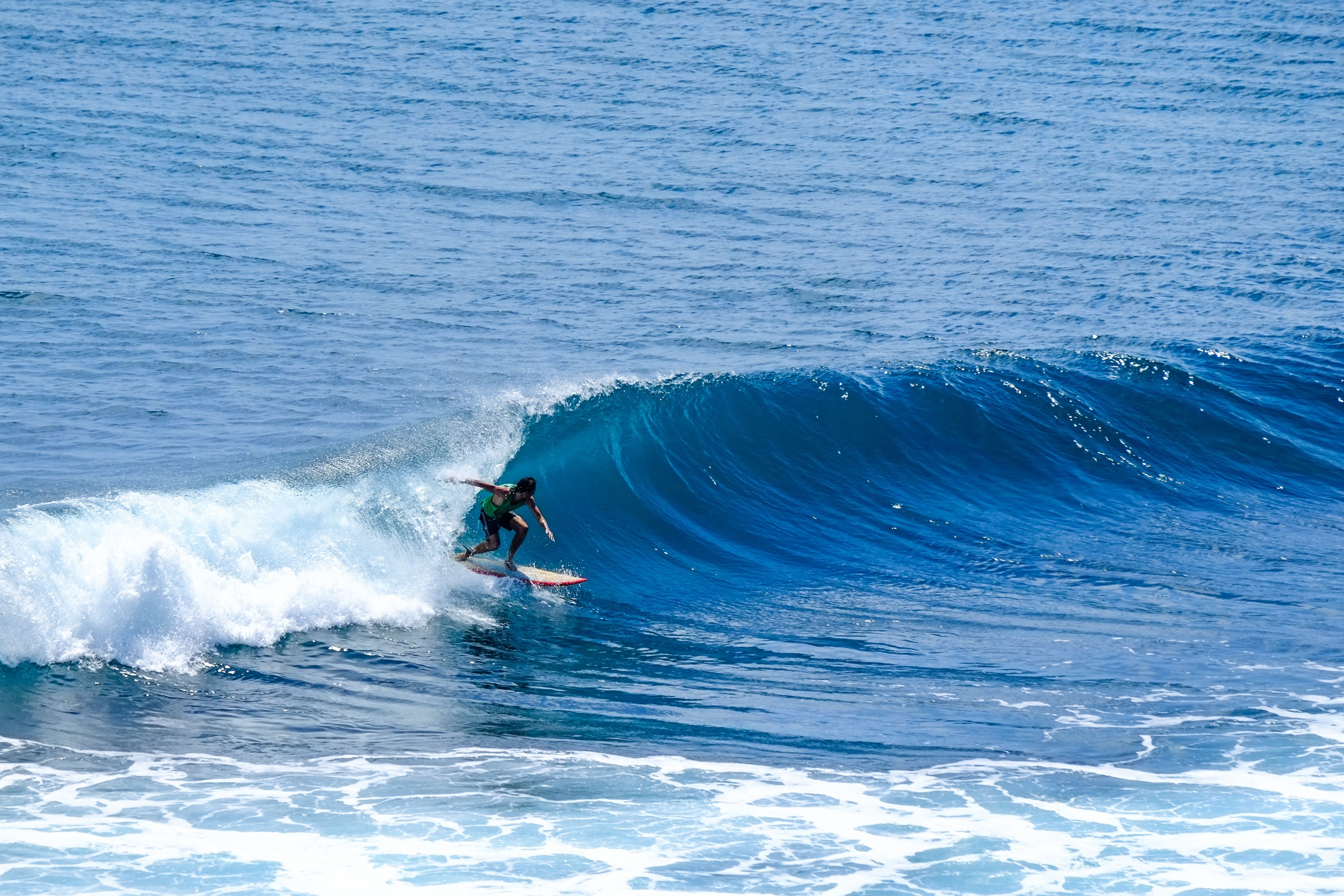 shutterstock 2479013377