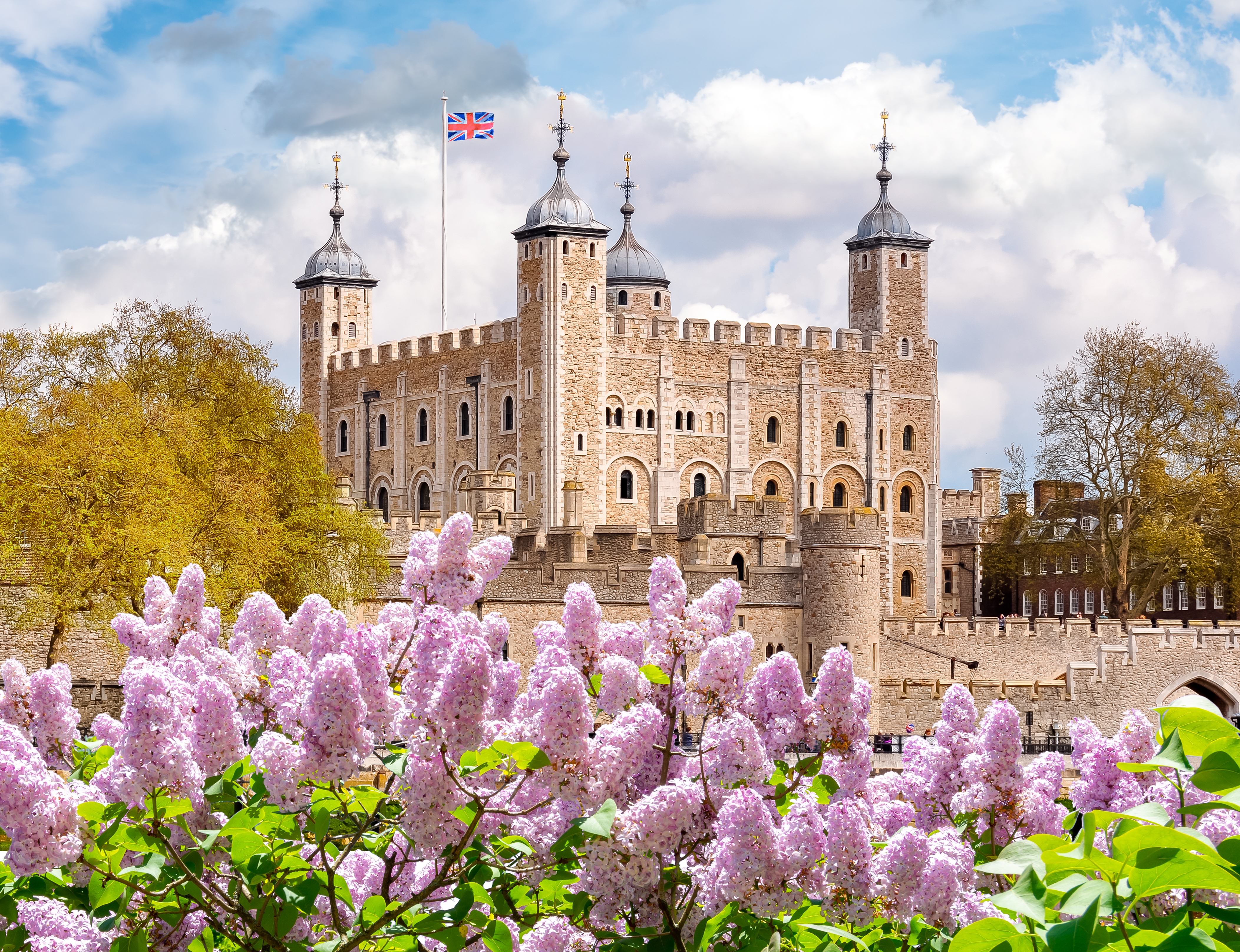 shutterstock 2124598169