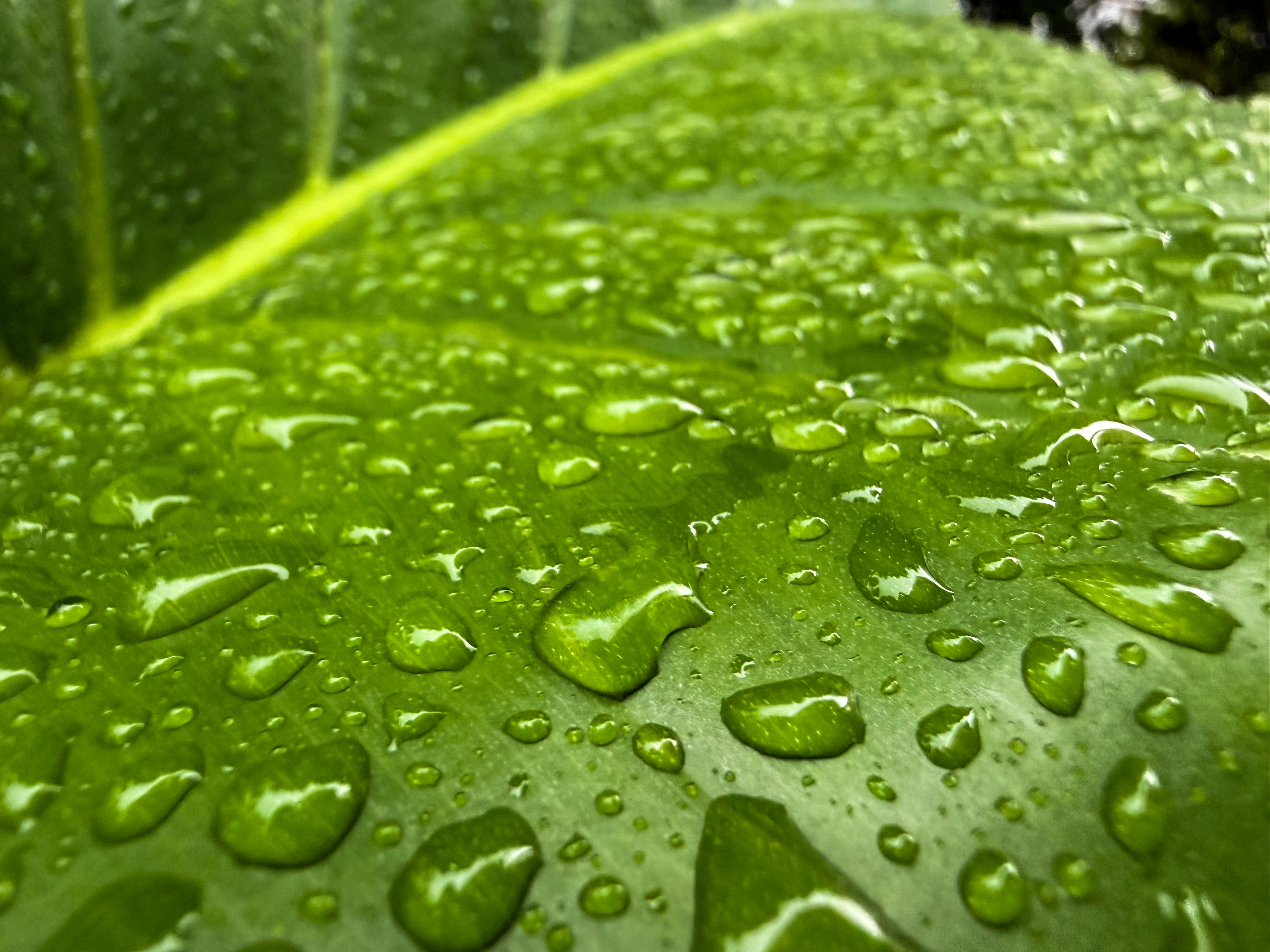 shutterstock 2730976661