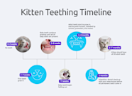 Kitten Teeth Age