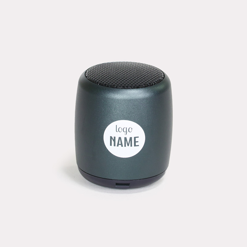  Mini enceinte sans fil