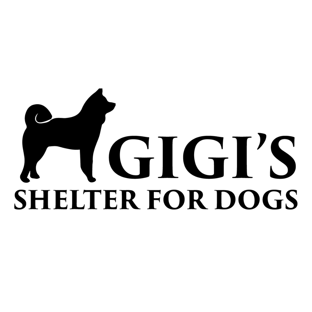 Gigi's shelter for store dogs