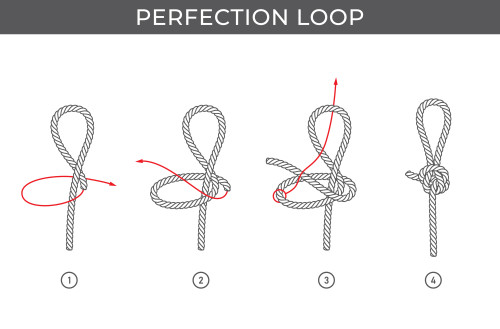 perfection loop how to tie a perfection loop