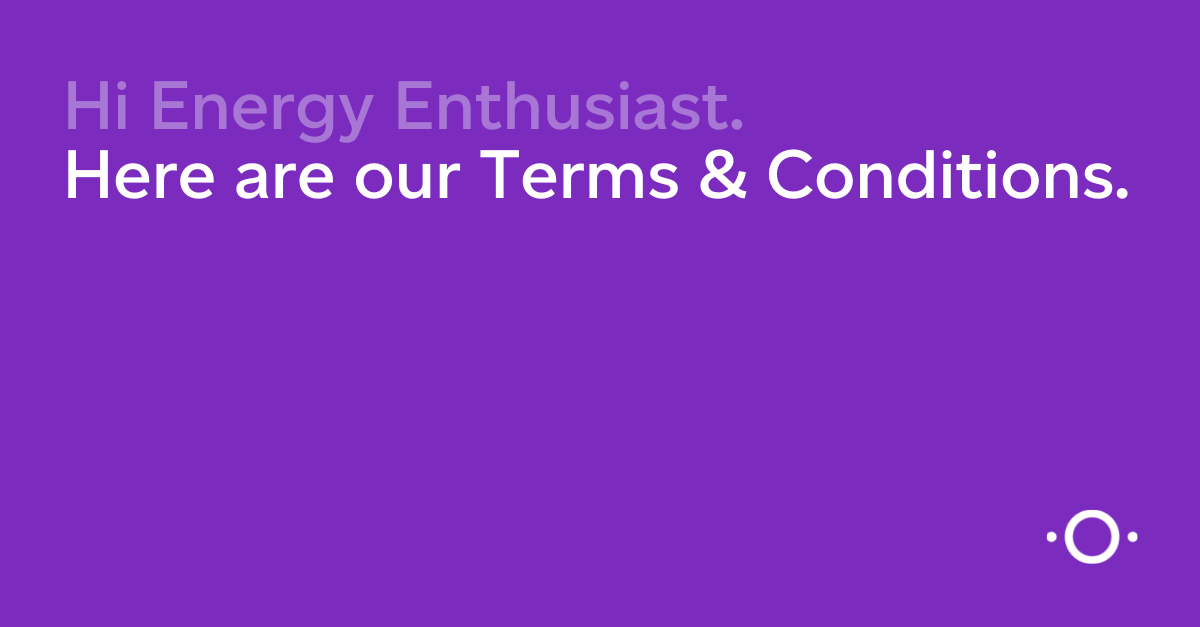 Terms & Conditions LAVO