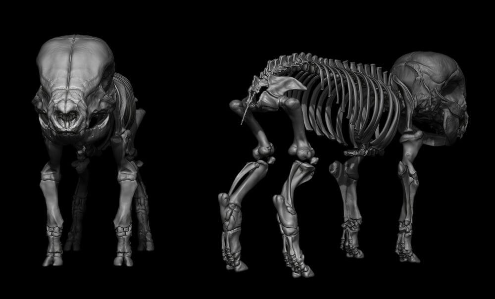 3D骨骼系统建立