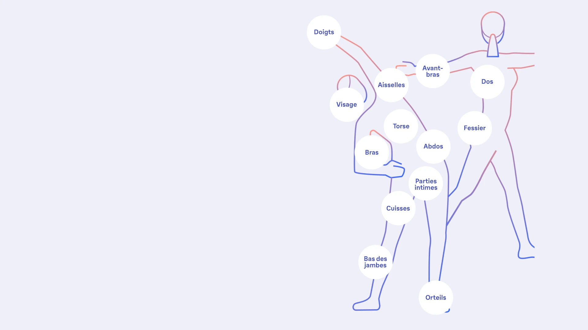 Graphique illustrant toutes les parties du corps sur lesquelles la lumière pulsée peut être utilisée