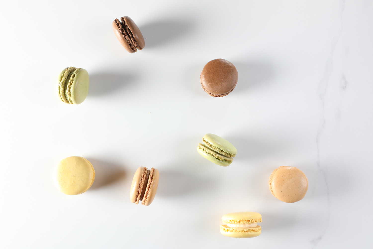 Assorted Macarons