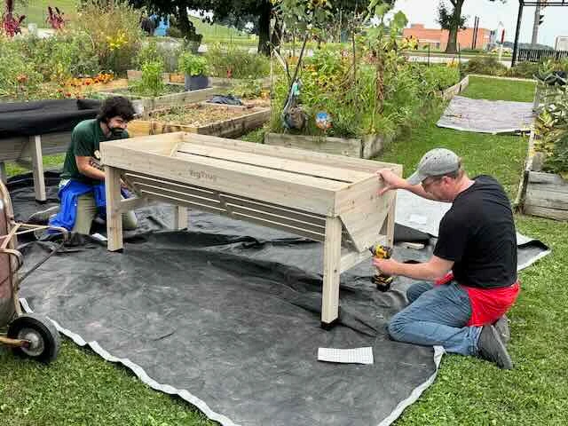 Building A Raised bed in 2025