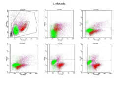 Servizio di Citofluorimetria Diagnostica di Laboratorio - linfonodo