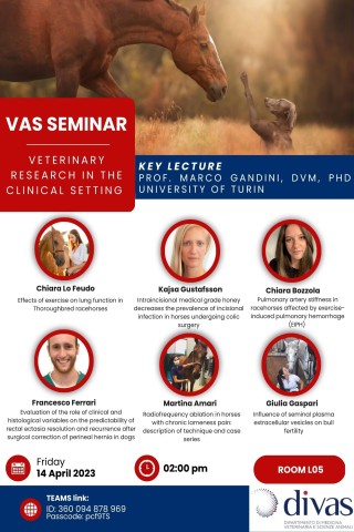 Vas Seminar: Veterinary research in the clinical setting