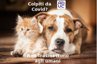 ADUC: Cani e gatti domestici possono essere contagiati (dai loro padroni umani) con il Covid, ma non lo trasmettono