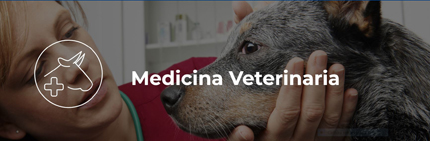 Presentazione Corsi di Laurea di Medicina Veterinaria - La Statale Orienta