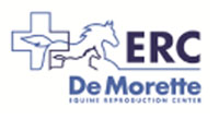 INTERNSHIP EQUINE REPRODUCTION CENTRE (ERC) DE MORETTE