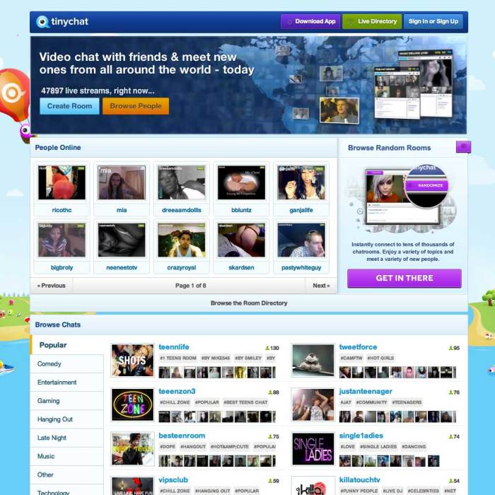 Screenshot of early text-based Tinychat.com