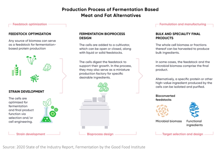 Fermentation_Process