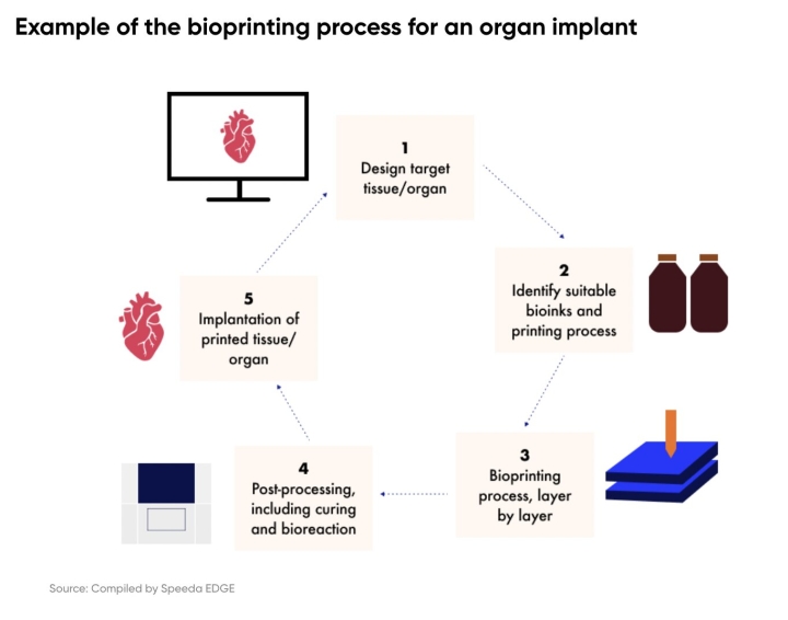 Bioprinting process