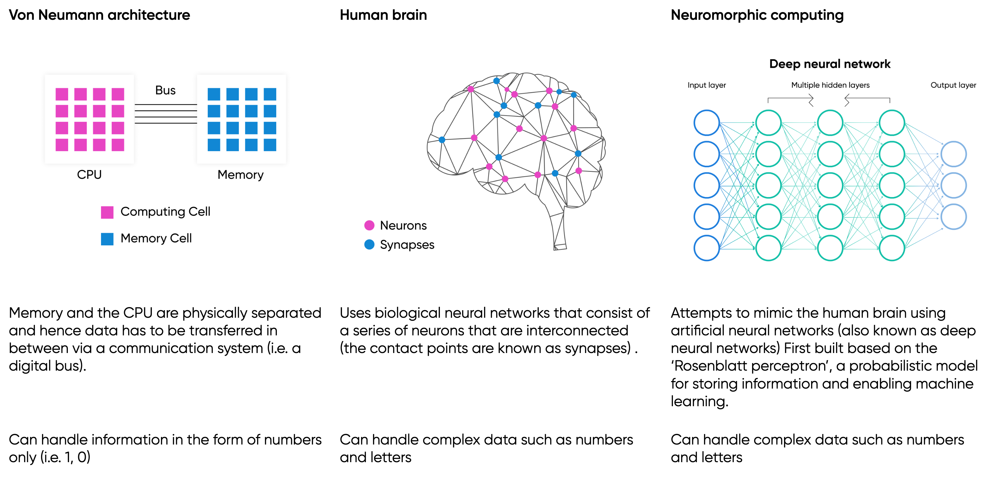 Neuromorphic Computing: The future brains of computing