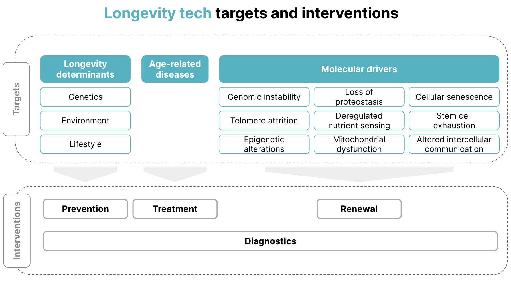 Longevity tech targets and interventions