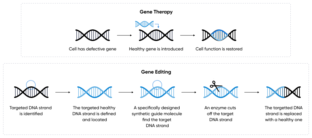 Gene therapy vs. gene editing