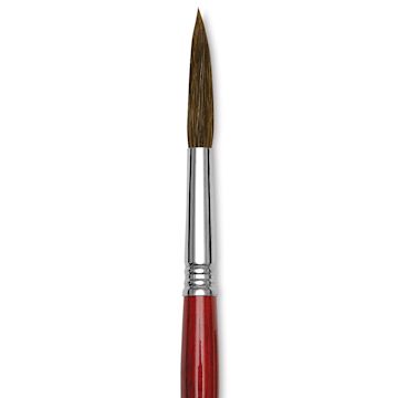 Open in modal - Escoda Light Ox Hair Long Script/Liner Brush - Round, Size 12 close up