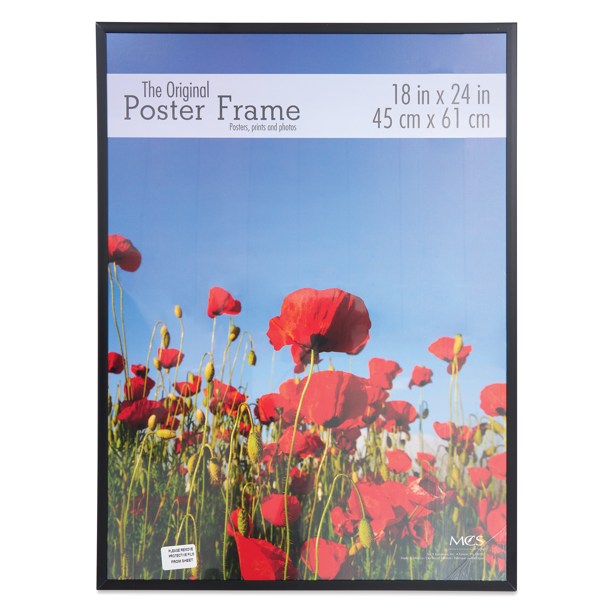 poster sized frames