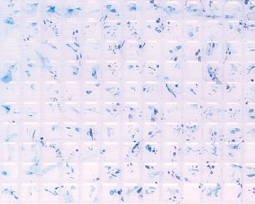 Open in modal - Plastruct Patterned Sheets, Square Tile, 3/16'' (finished example)