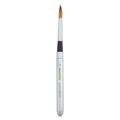 Princeton Aqua Elite Series 4850 Synthetic Brush - Travel Round, Size 10 (cap being used as a handle)