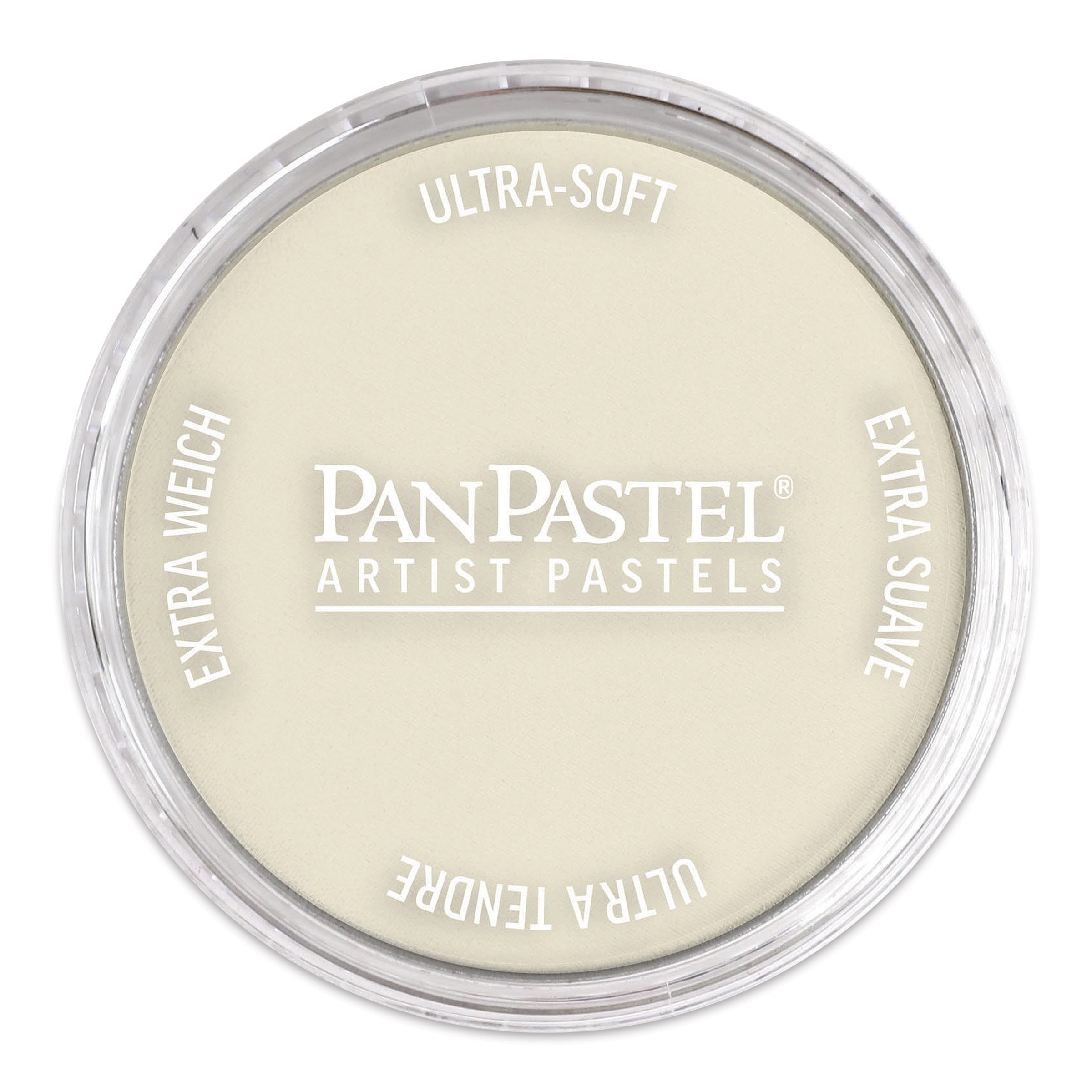 PanPastel Artists' Painting Pastel - Raw Umber Tint, 780.8 | BLICK