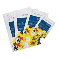 Hahnemühle Oil and Acrylic Paper Pads