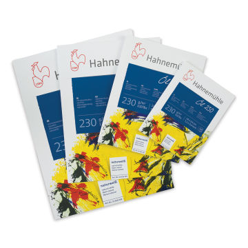 Hahnemühle Oil and Acrylic Paper Pads - Several sizes of Paper pads shown together
