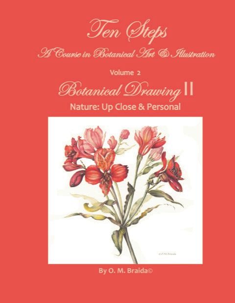 OM Art Designs Supply List Botanical Drawing II Bundles BLICK Art