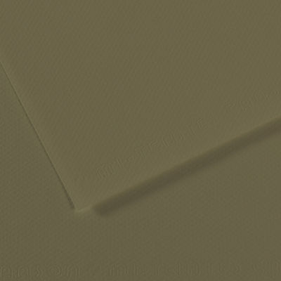 Canson Mi-Teintes Drawing Paper - 19" x 25", Olive Green, Single Sheet