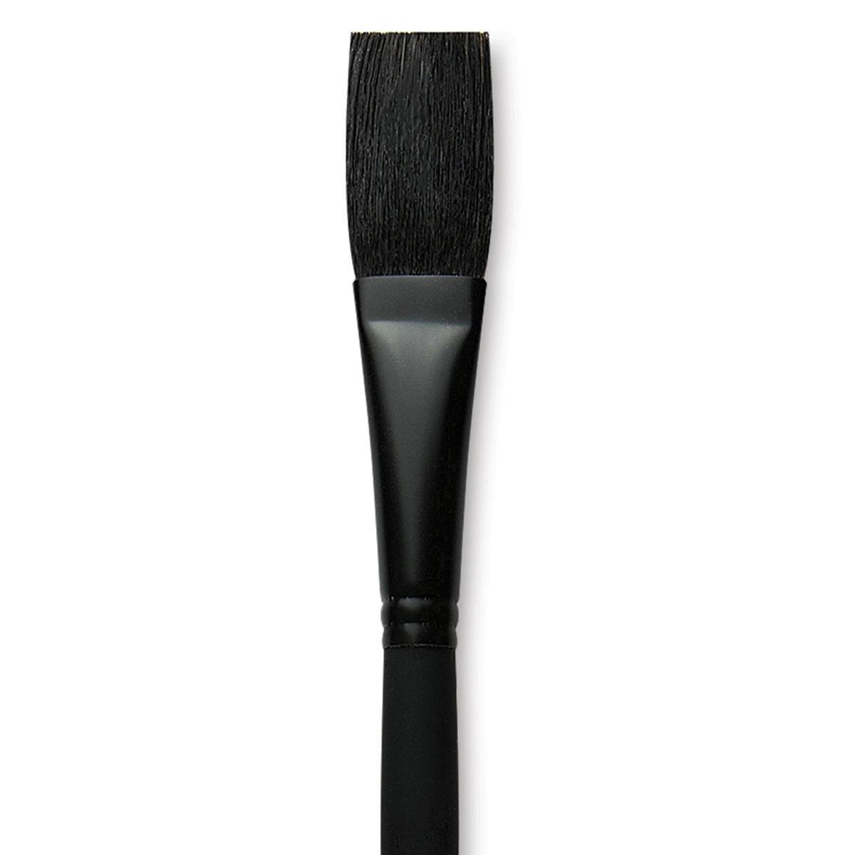 Project Source 5-Pack Black Bristle Multiple Sizes Natural Bristle Round  Paint Brush (Art Brush) in the Paint Brushes department at