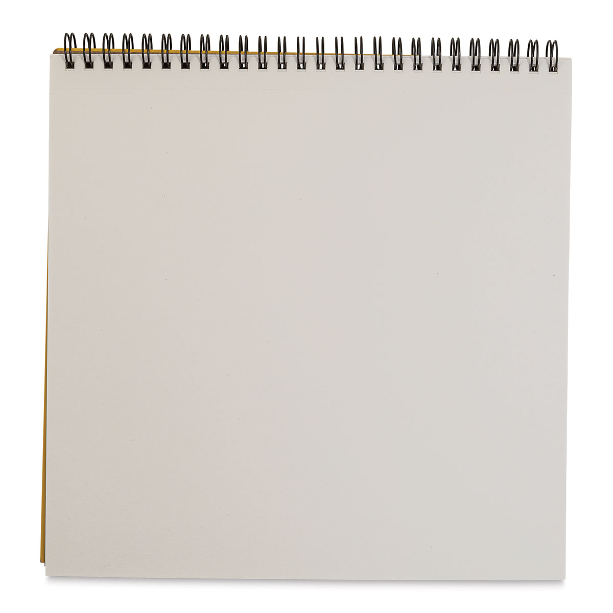 Bee Paper Co-Mo Sketch Pad 9 inch x 9 inch