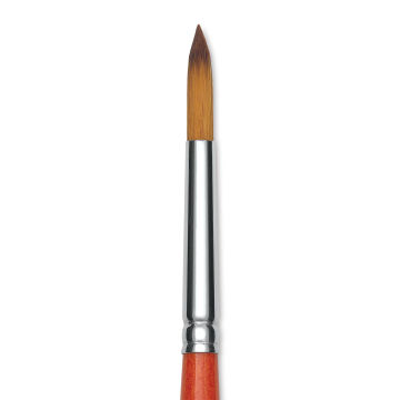 Raphael Golden Kaerell Brush - Pointed Round, Short Handle, Size 7, close-up
