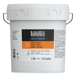Liquitex Acrylic Varnish - Satin, Gallon, Bucket