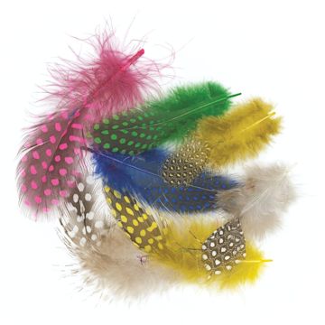 Open in modal - Creativity Street Spotted Guinea Feathers - Assorted Colors, Bag of Approx 875 pieces