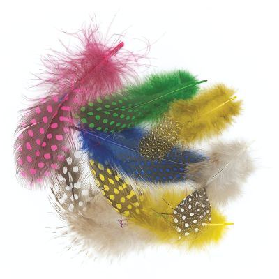 Creativity Street Spotted Guinea Feathers - Assorted Colors, Bag of Approx 875 pieces
